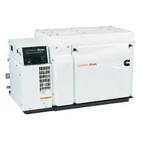 Cummins Onan Marine QD 17.5MDKDR-8202A